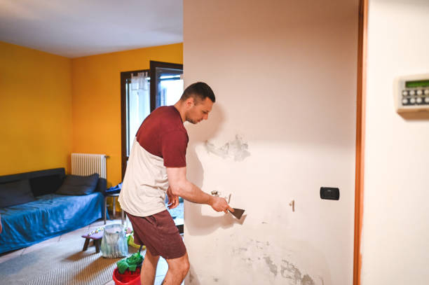 Best Post-Remediation Services in Wheaton, MN